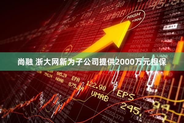 尚融 浙大网新为子公司提供2000万元担保